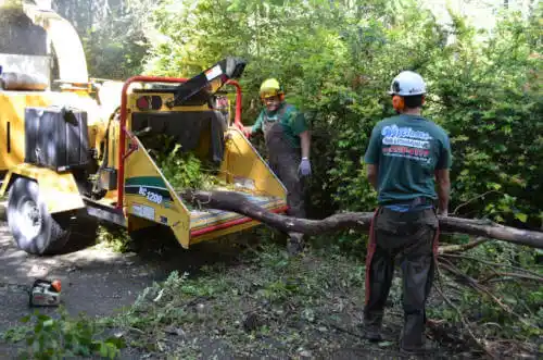 tree services New Chicago